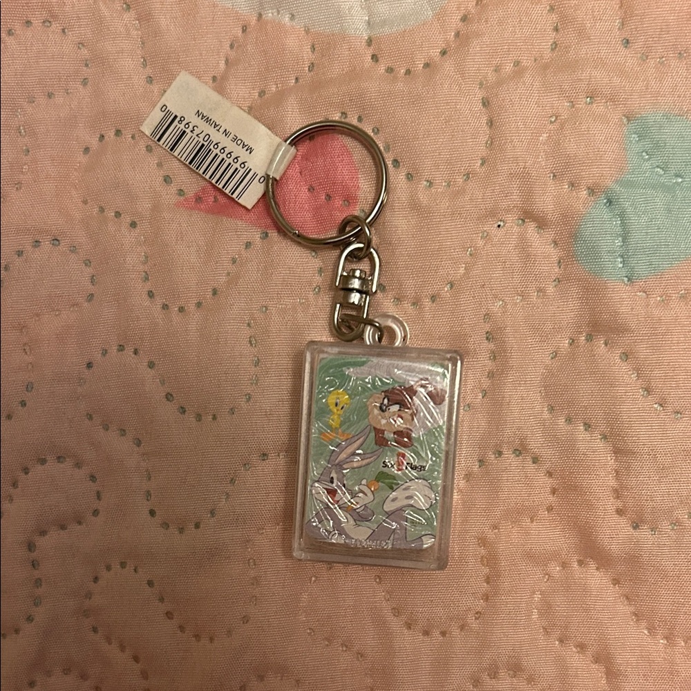 Six flags mini cards Keychain featuring bugs bunny, tweety and Tasmanian Devil